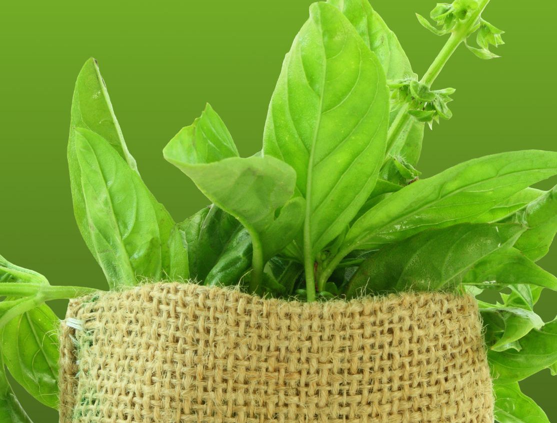 The Ayurveda Treatments – Facts To Know